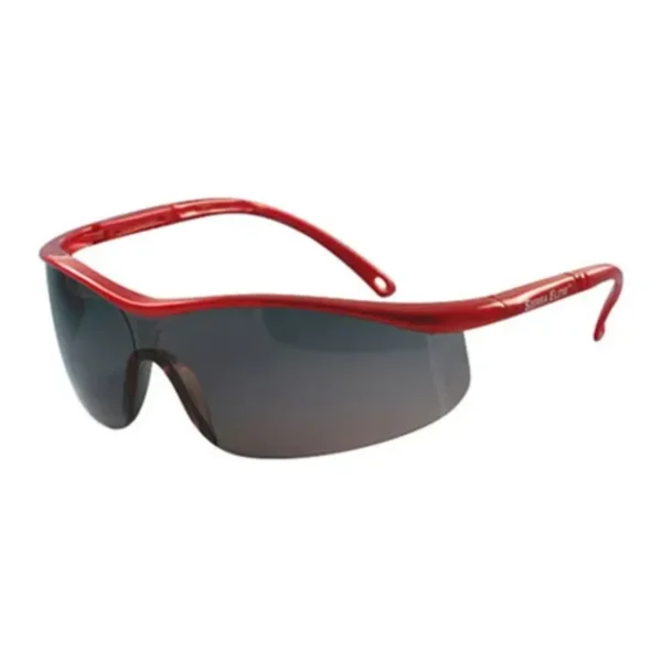 GAFA SIERRA ELITE ANTIFOG INT OUT MSA 2803252